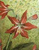 Flora 2002 #1 Oil 11X14