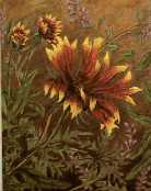 Flora 2002 #2 Oil 11X14