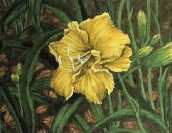 Flora 2002 #3 Oil 11X14