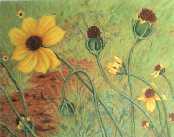 Flora 2002 #5 Oil 16X20