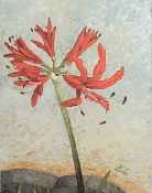 Flora 2002 #6 Oil 11X14