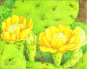 Flora 2005 #2 Oil 8X10